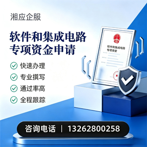 阜阳软件和集成电路专项资金申报服务