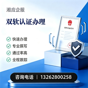 阜阳双软认证申报服务