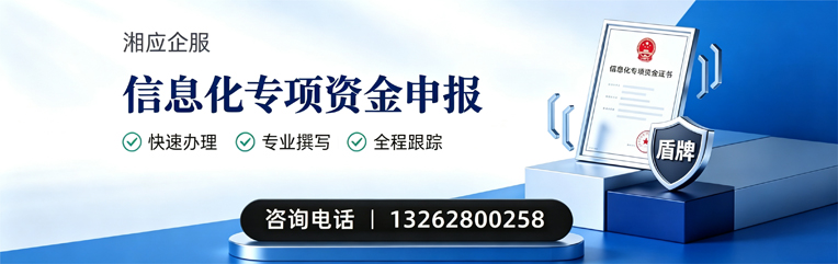 阜阳信息化专项资金申报服务