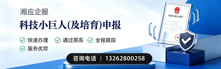 阜阳科技小巨人及培育企业申报服务