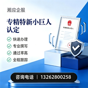 阜阳专精特新小巨人申报服务