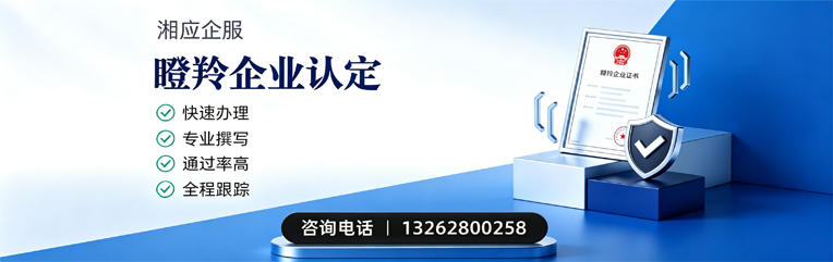 阜阳瞪羚企业认定申报服务