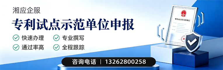 阜阳专利试点示范单位申报服务