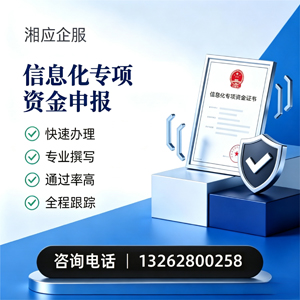 阜阳信息化专项资金申报服务