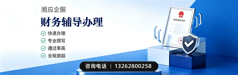 阜阳财务辅导申请服务