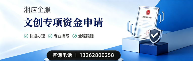 阜阳文创专项资金申报服务