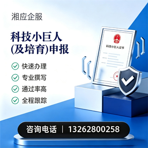 阜阳科技小巨人及培育企业申报服务