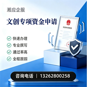 阜阳文创专项资金申报服务