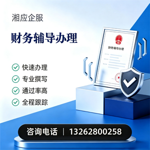 阜阳财务辅导申请服务