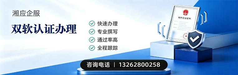 阜阳双软认证申报服务