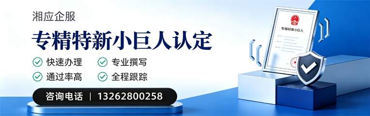 阜阳专精特新小巨人申报服务